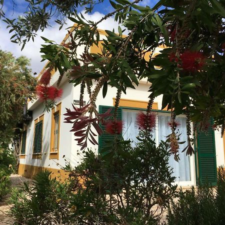 Casa Guerreiro Lejlighed Lagos Eksteriør billede