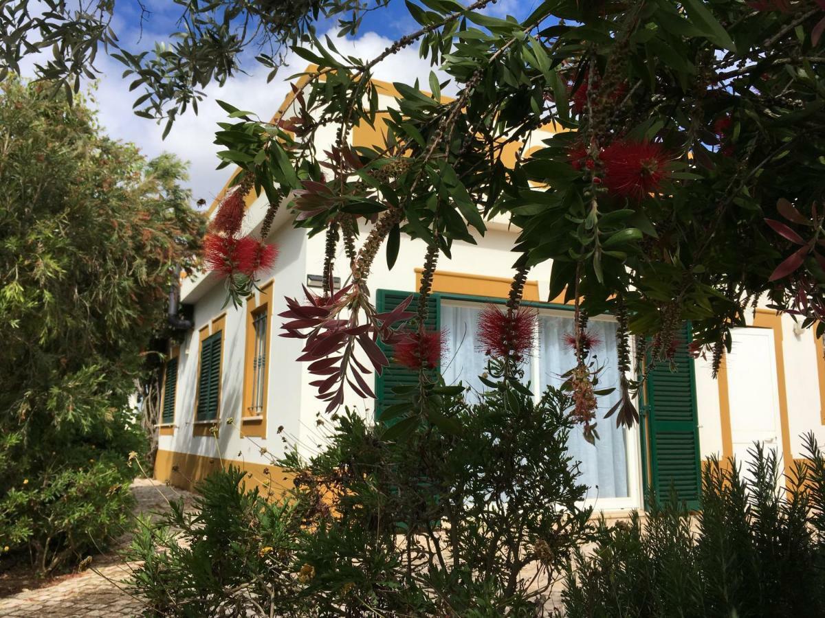 Casa Guerreiro Lejlighed Lagos Eksteriør billede